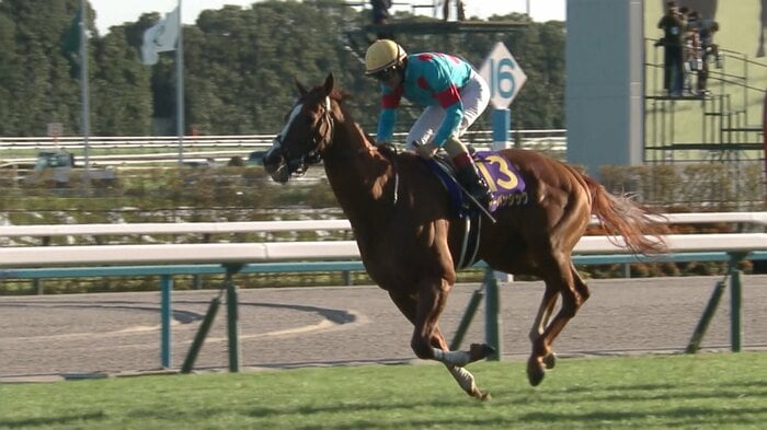 菊花賞を制したアーバンシック