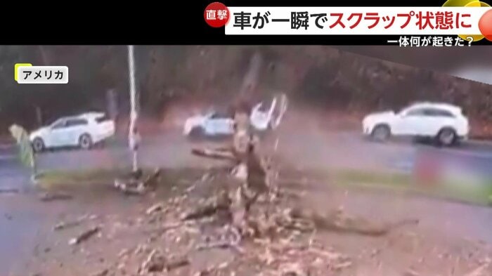 倒れた木に巻き込まれている白い車(IHA)