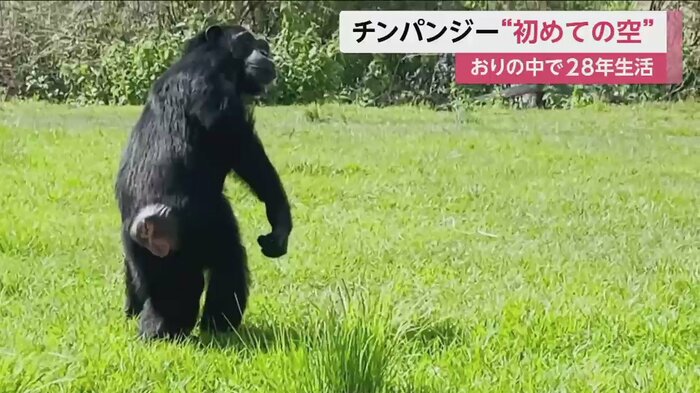 何度も上を見上げていた