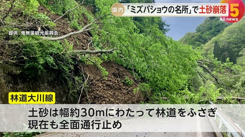 「ミズバショウの名所」で土砂崩れ、林道復旧のメド立たず休園に観光客落胆…観光関係者「紅葉シーズンには再開を」長野市｜FNNプライムオンライン