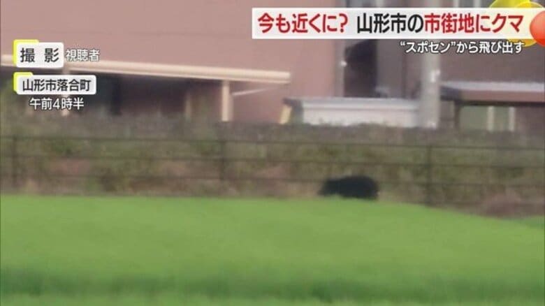 住宅街に出没したクマをドローンで捜索・麻酔銃命中も逃げられ捕獲に至らず…周辺住民に注意呼びかけ【山形発】｜FNNプライムオンライン