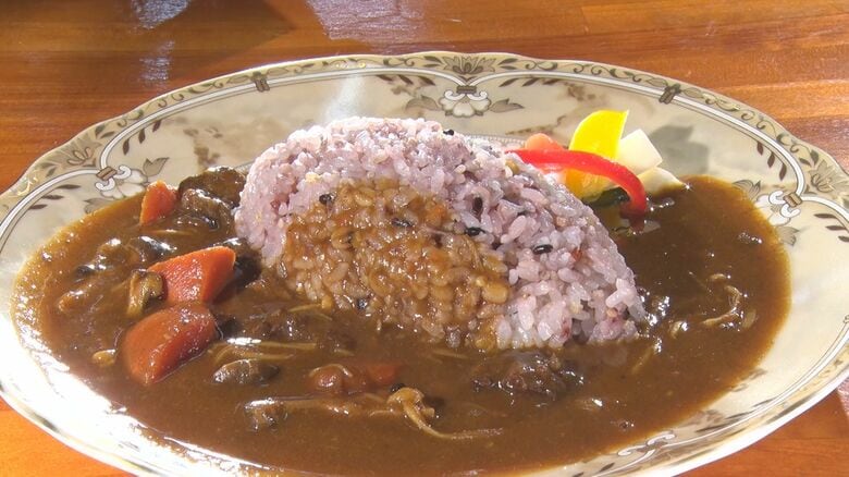 名物は「森のカレー」…秘境にひっそり佇む人気古民家カフェ 都会から集まる多くの常連客たちの“隠れ家”に|FNNプライムオンライン