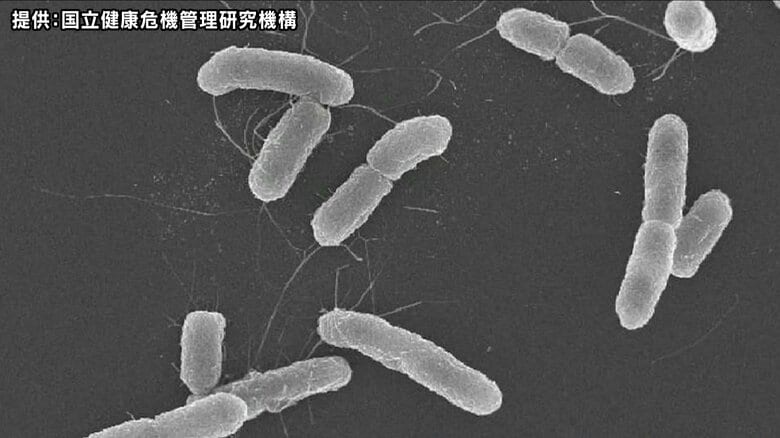 【速報】高校で「O157」集団感染 生徒5人が入院 長野から沖縄への修学旅行で感染か 生徒と教職員計41人が腹痛、下痢など胃腸炎症状 旅行中の食事を中心に調査|FNNプライムオンライン