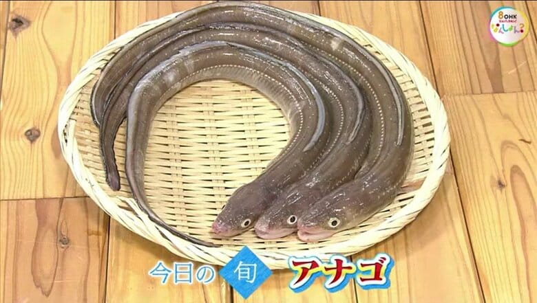 【瀬戸内旬紀行】天ぷら、ちらし寿司の材料にも…料理のバリエーションが豊富！鮮魚店店主に聞く旬の「アナゴ」の魅力【岡山・香川発】｜FNNプライムオンライン