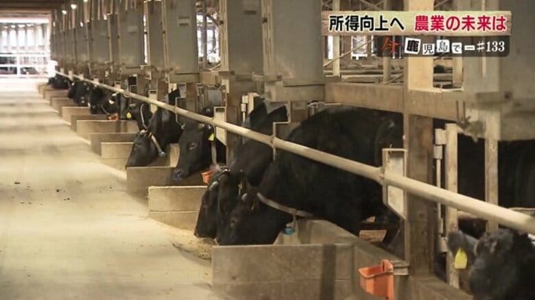 全国有数の畜産県・鹿児島の農家を経費上昇が直撃！　生産者による販路拡大や「6次産業化」で「もうかる農業」目指す動きも｜FNNプライムオンライン