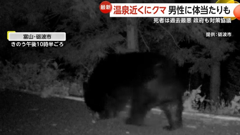「まさか自分が」秋田でクマが体当たり…出没相次ぎ死者数は“過去最悪”13人 “災害級被害”に自衛隊派遣も 専門家「今手を打つ必要」|FNNプライムオンライン