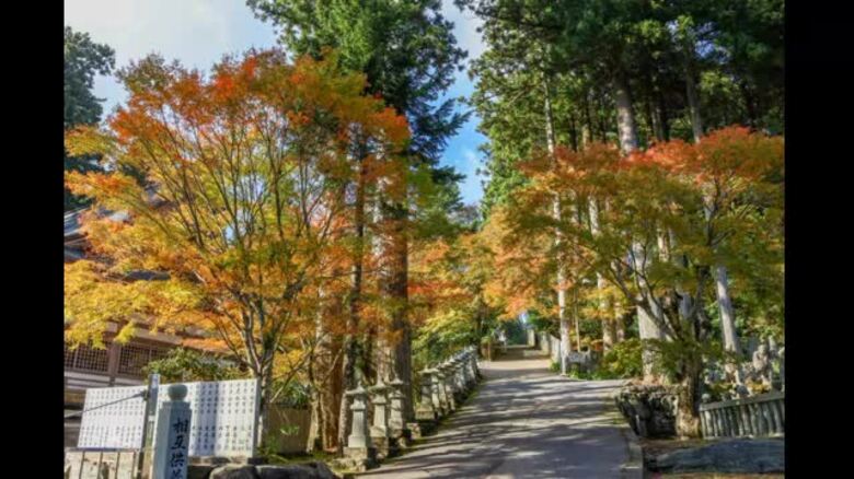 紅葉もうすぐ見頃に…香川・徳島県境近くの山寺　四国霊場「雲辺寺」は錦秋の装い【香川】｜FNNプライムオンライン