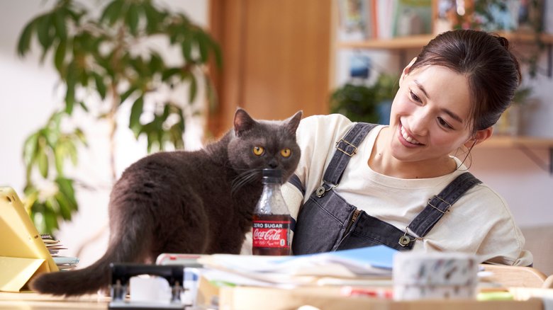 猫に癒やされ…