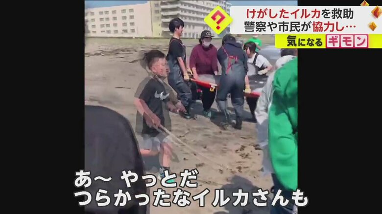 (FNN投稿サイト「ビデオPost」)