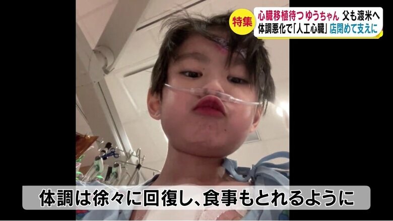 提供画像