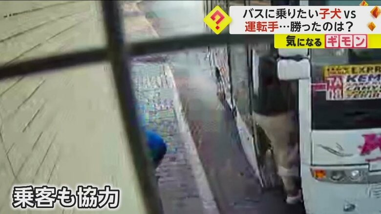 運転手が降ろした子犬が再びバスに乗らないように、乗客も協力
