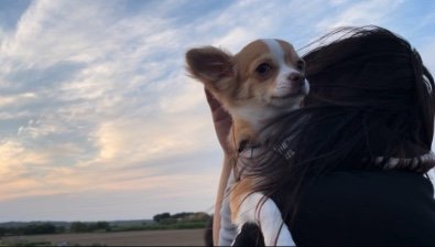 提供：ふくのすけさん