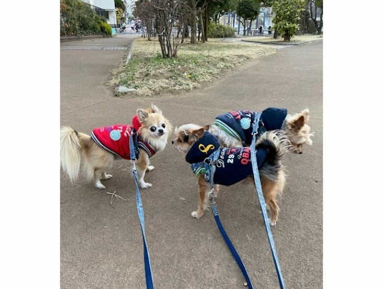 冬に服を着て散歩（提供：榊 柾人さん）