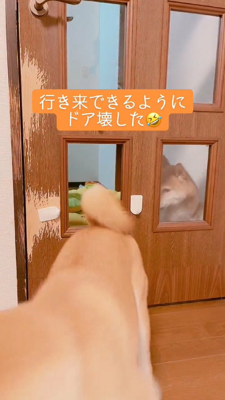 「自分も…」とムックくん