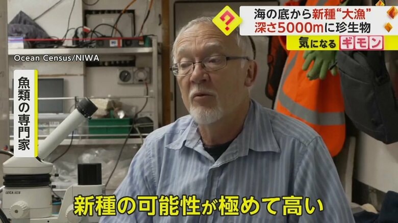 魚の専門家が見解を述べる