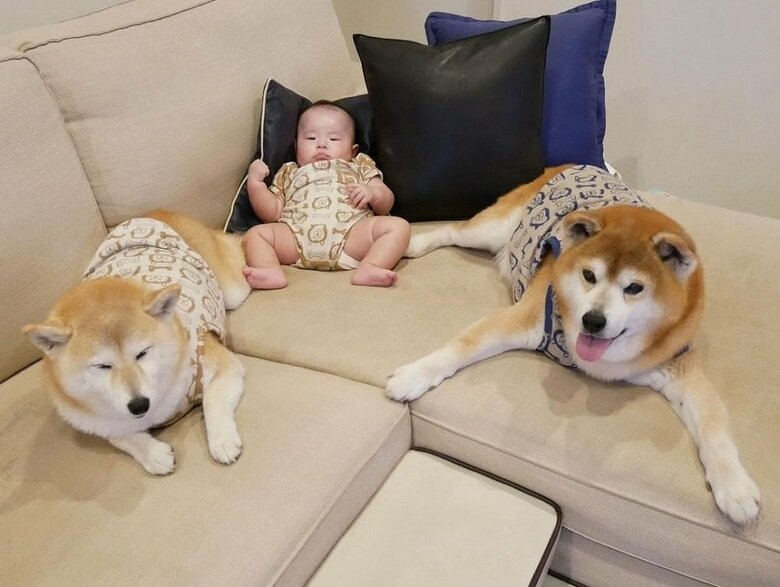 家族とは認識はしている