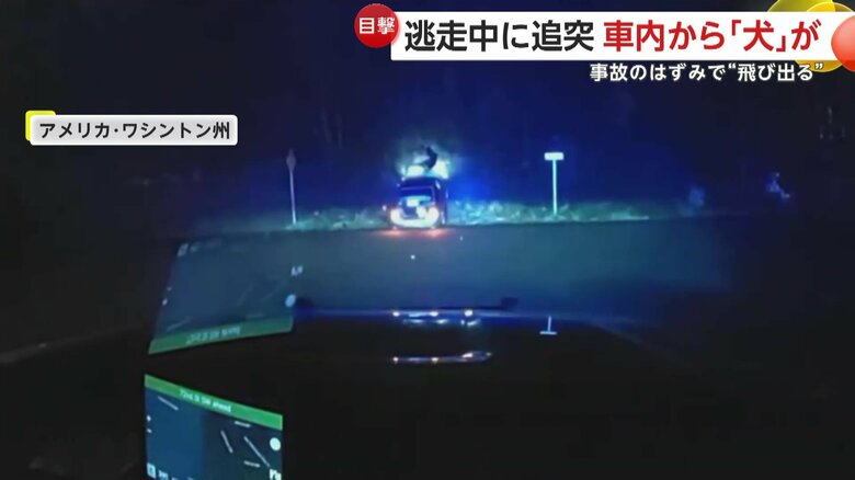 逃走車が衝突し車から犬が投げ出される瞬間（アメリカ・ワシントン州）④
