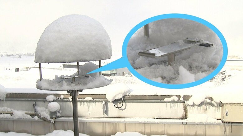 計測器　ピーク時には大量の花粉が付着…