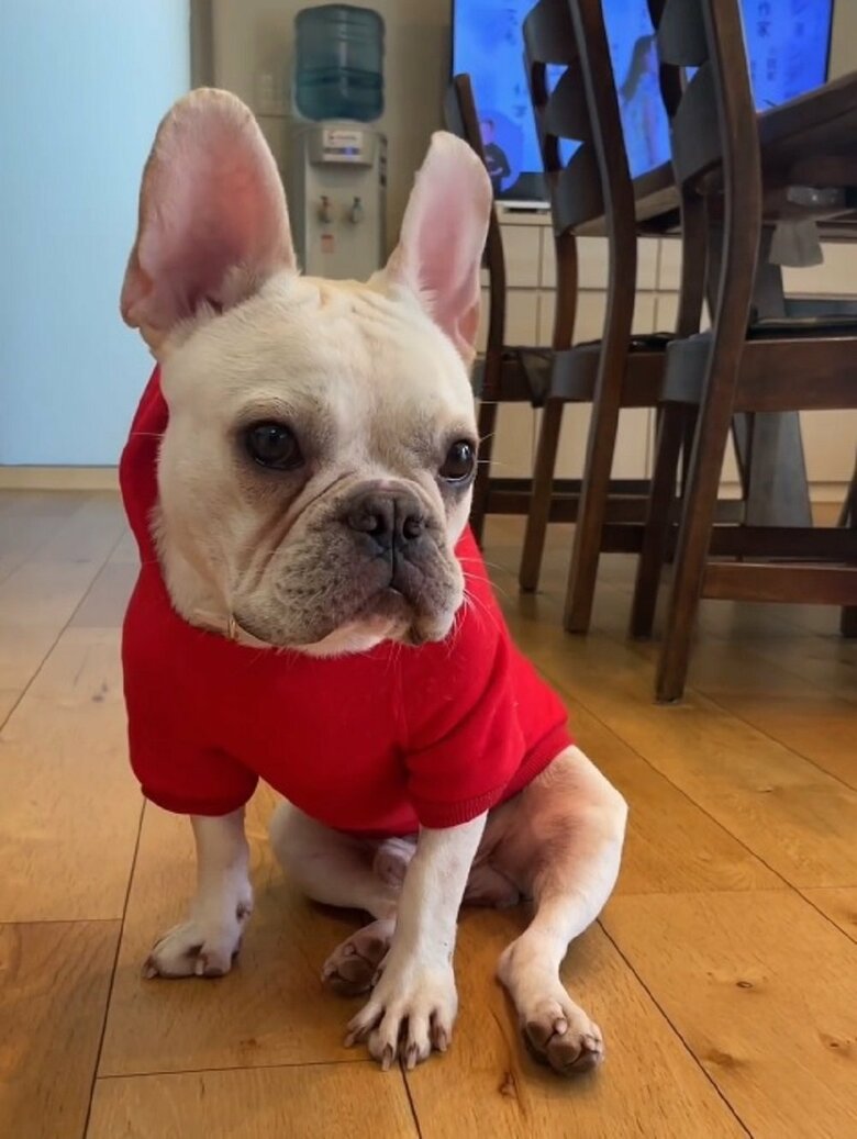 服を着るとフリーズしてしまうという