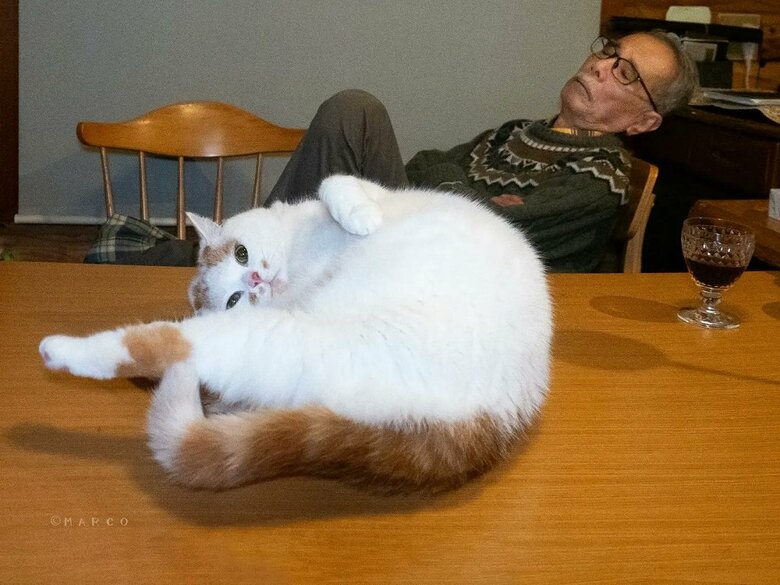 お父さんが寝ているので、MARCOさんを誘惑しているメイくん（提供：MARCOさん）