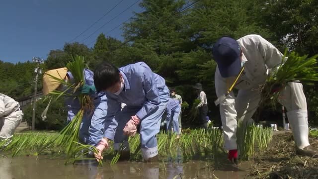 農業高校生 農家の技術や苦労を体験 地域農業の担い手を育てる