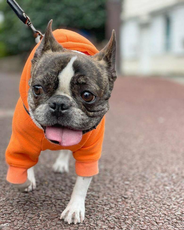 提供：丸男さん