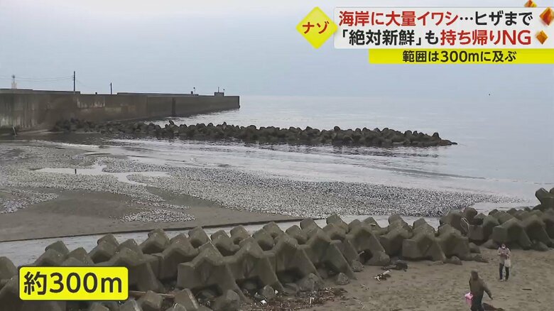 2月6日の夜から7日の朝までに漂着したか