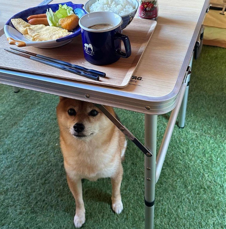 提供：Nerushibaさん