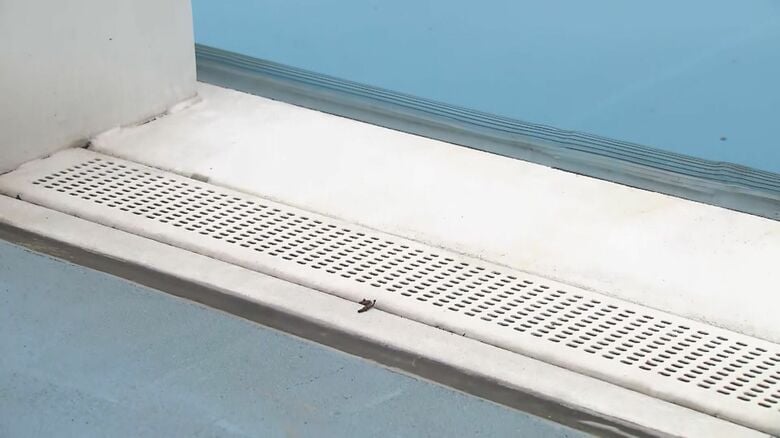 プールの水は溢れ出ず