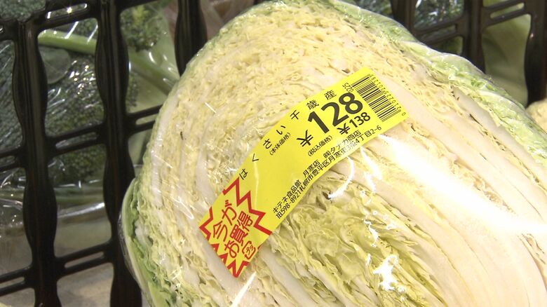 今年のハクサイは？