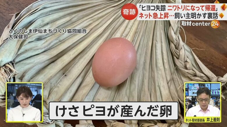 16日の朝に、ピヨが産んだ卵