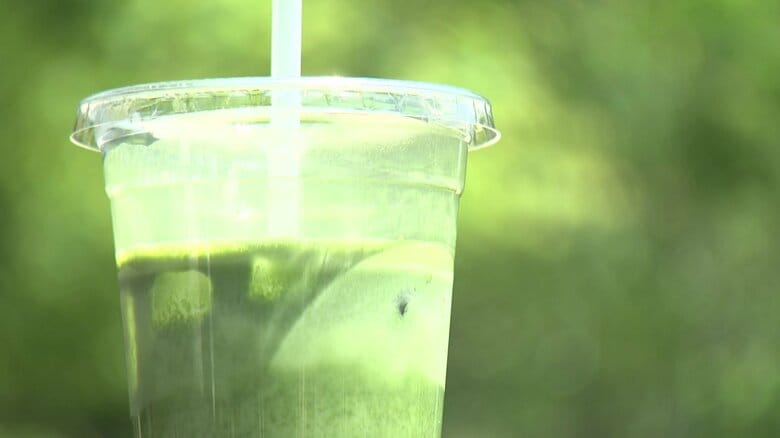 そのぎ茶ラテが人気