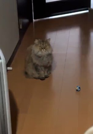 提供：ひなたさん