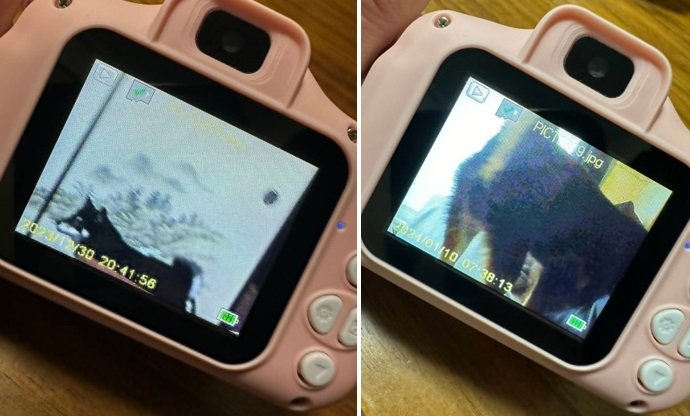 （左）部屋の中を歩く和凪ちゃん（右）おしりのアップも撮っちゃう
