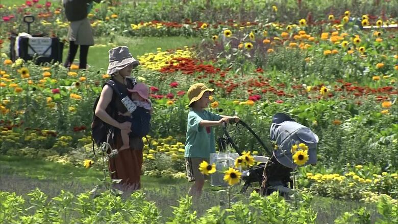 恵庭市の候補地（西島松地区）