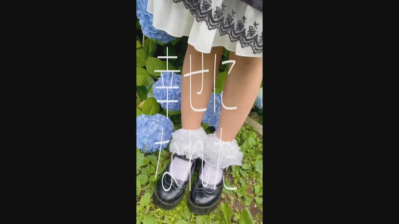 ヒナちゃんが制作した動画