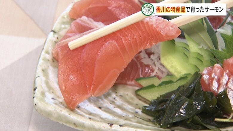 適度な脂がのったオリーブサーモン