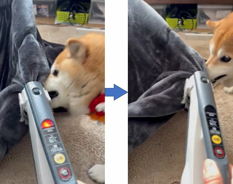 布団よりアタシだけを吸って！