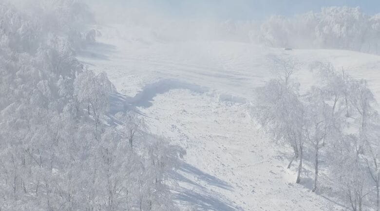 斑尾高原スキー場で起きた雪崩