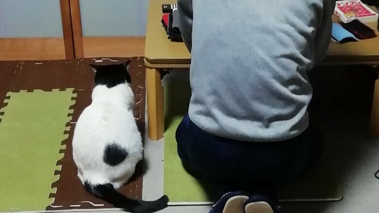 旦那さんに寄り添う様子