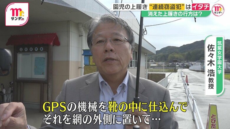 30年以上にわたりイタチを研究する、筑紫女学園大学の佐々木浩教授