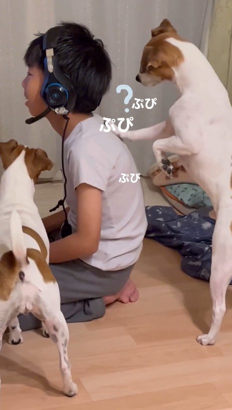 提供：あずもなさん