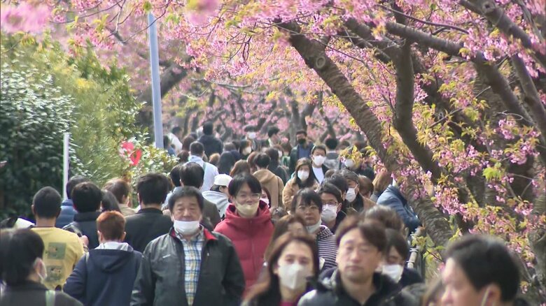 多くの人でにぎわう桜並木（2023年3月）