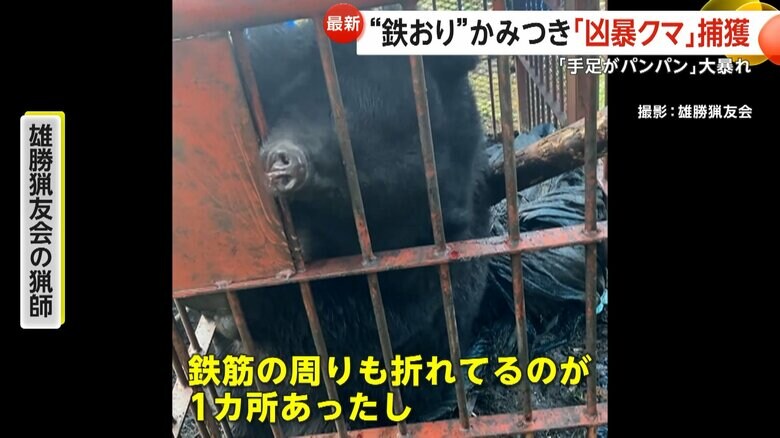 2025年度は6日までに既に39頭を駆除したという