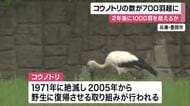 1971年に国内で絶滅…コウノトリが全国で700羽超まで復活　繁殖も順調、新潟では「5つ子」が巣立ち　2年後には1000羽超の見通し