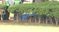 松本市街地でまたクマの目撃　公園の木の上に居座る　麻酔銃で捕獲　長野