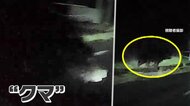 “クマ”衝突の瞬間　「避けきれず」ミラー折れ、車体は大きくへこむ　夜の道路脇から飛び出す　北海道・歌志内市