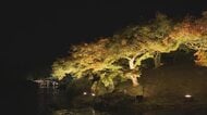 高松市・栗林公園の秋のライトアップ　期間中入園者数は０１年の開始以降最多の６万６８００人【香川】