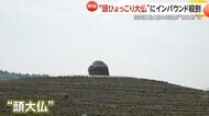 “頭ひょっこり大仏”にインバウンド人気殺到！北海道最大級の霊園が“映えスポット”化　無数の巨大「モアイ像」も…札幌市