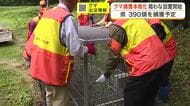 宮城県がツキノワグマ捕獲を本格化　推定個体数の１割３９０頭を目標　県内各地へ箱わなの設置を開始